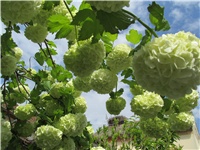 9ff19303-Picture 012.jpg